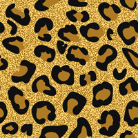 zlata leopard[1]