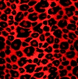 cervena leopard
