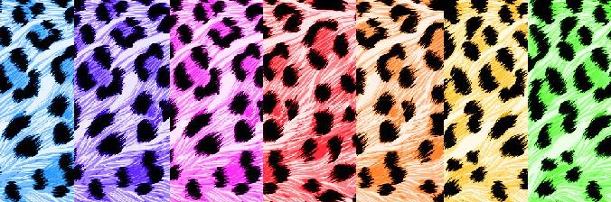 duhove farby leopard