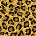 zlata leopard[1]