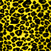 zlta leopard